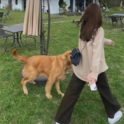 亲爱的约翰