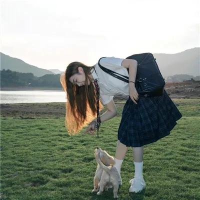 归途如虹